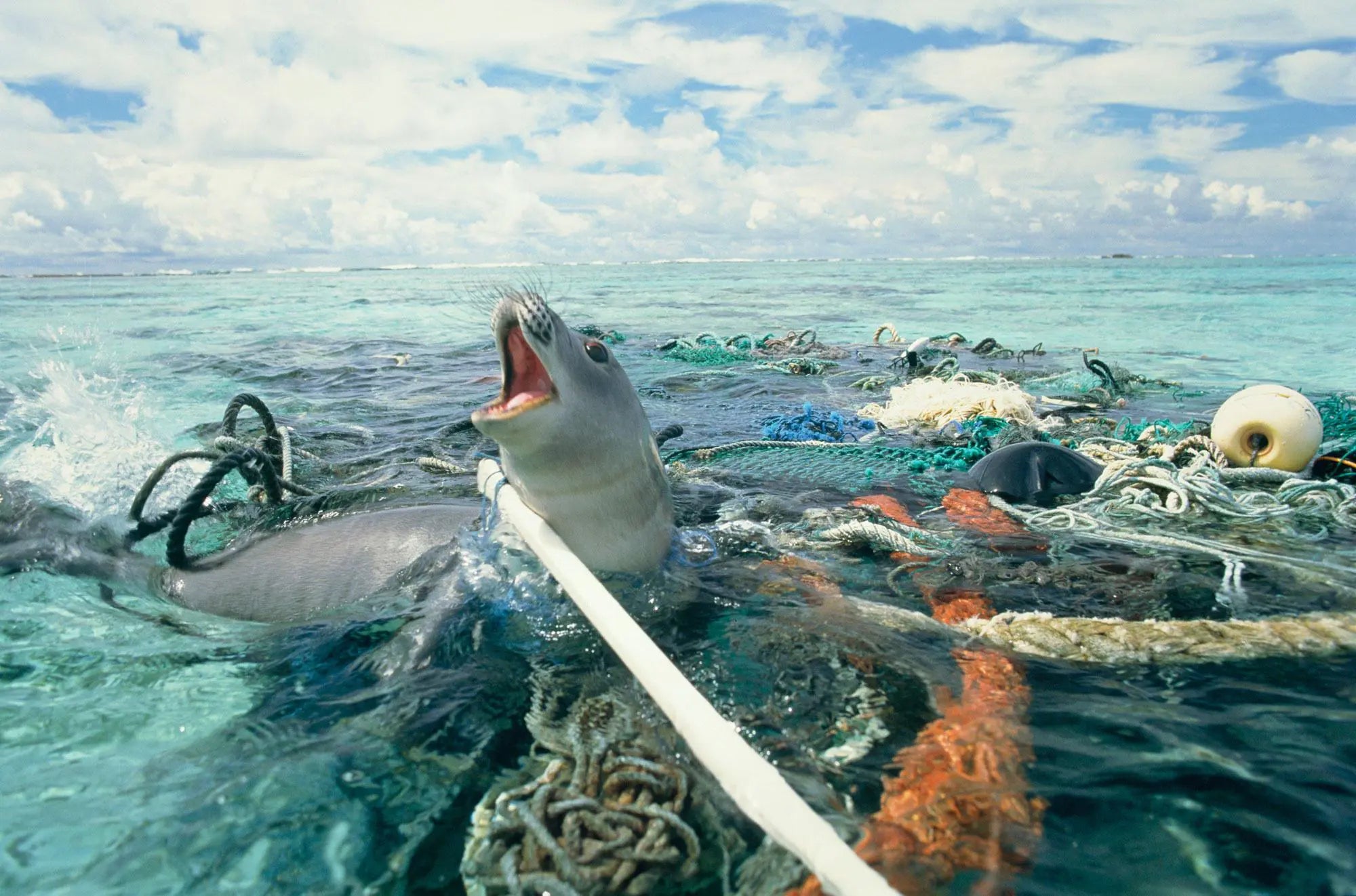 From Fishing Nets to the Beach: How Regenerated Materials Are Changing Outdoor Products